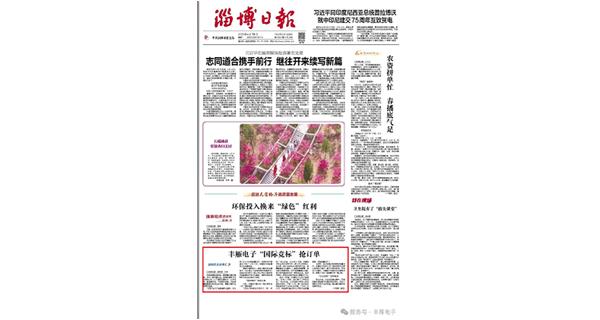 豐雁電子榮登《淄博日報》頭版